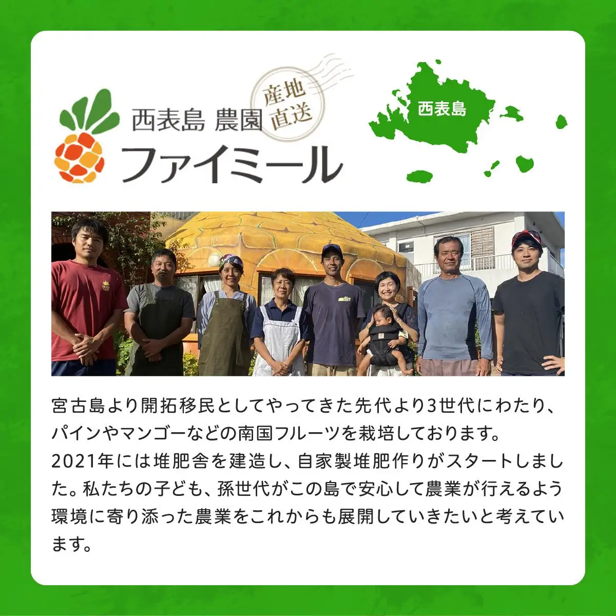 ピーチパイン 約3kg