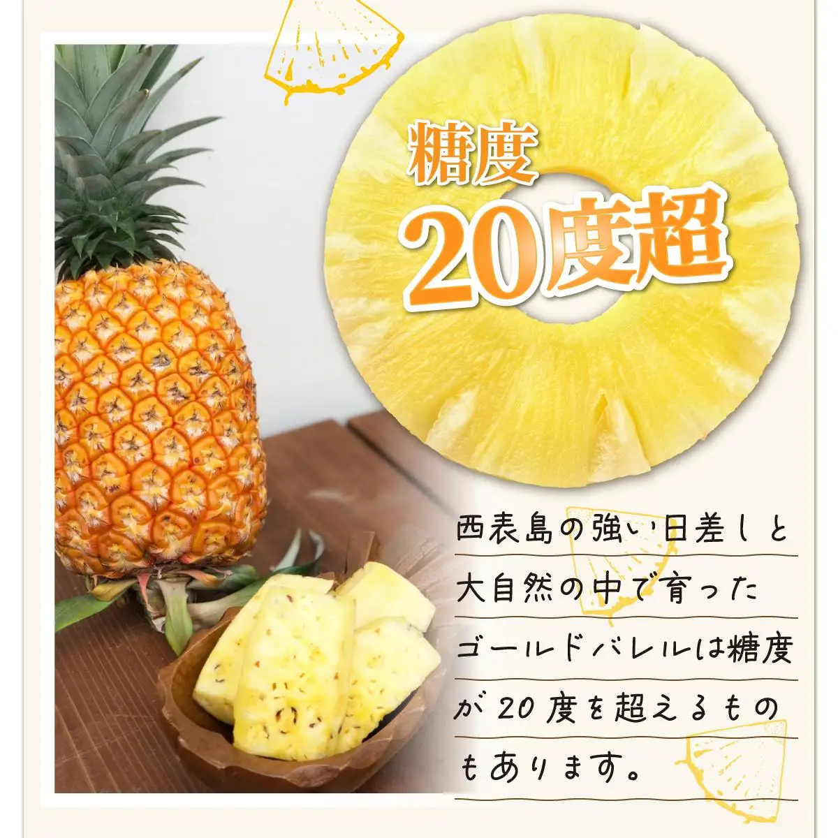 パイン ゴールドバレル 約3kg 