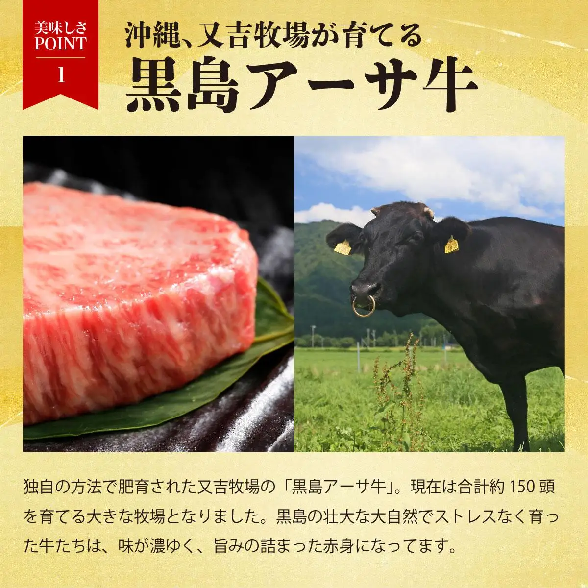黒島アーサ牛セット ( ハンバーグ / サーロイン / アーサ  )