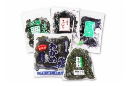 三陸産 海藻 5種セット ( わかめ 茎わかめ ひじき ふのり 昆布 ) [さんりくみらい 宮城県 気仙沼市 20564805]