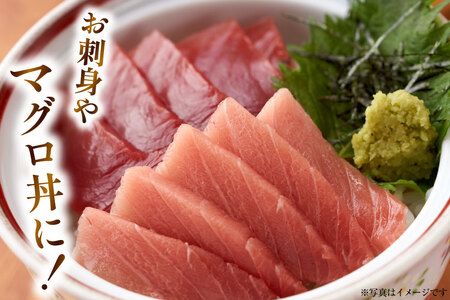特撰 中トロマグロ（メバチマグロ）１柵 150g [川印　村田漁業 宮城県 気仙沼市 20563398]