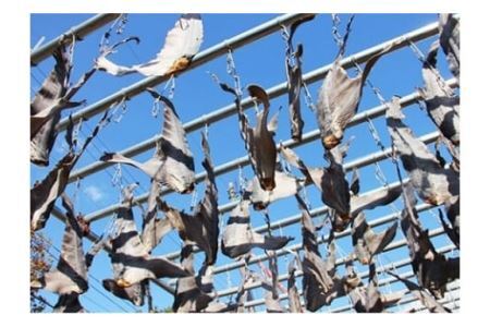 ふかひれスープ 紅焼魚翅 6袋入 [中華高橋水産 宮城県 気仙沼市 20563439]
