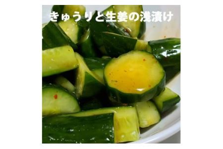 気仙沼 万能 浅漬けの素 うま造り 1L×2本 [石渡商店 宮城県 気仙沼市 20563675]