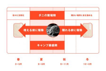ダニ捕りシート ダニクル 寝袋用 1個（2枚入） [エース産業 宮城県 気仙沼市 20563937]