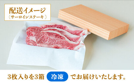 【内閣総理大臣賞！】 長崎和牛 サーロイン ステーキ 200g×3枚×2セット＋ヒレ ステーキ 150g×3枚×2セット 計2.1kg / 牛肉 ステーキ ステーキ肉 さーろいん ひれ / 南島原市 / ながいけ [SCH060]