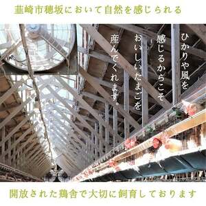 卵 こだわり卵 穂坂のあかたま 30個 6回 定期便 総計180個 [ハイチック 山梨県 韮崎市 20745486]