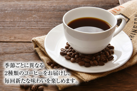 コーヒー 【挽き】12回 定期便 自家焙煎 スペシャルティ 季節 ギフトセット 200g 2種類 総計4.8kg セット [アフターゲームカフェ 山梨県 韮崎市 20743930]