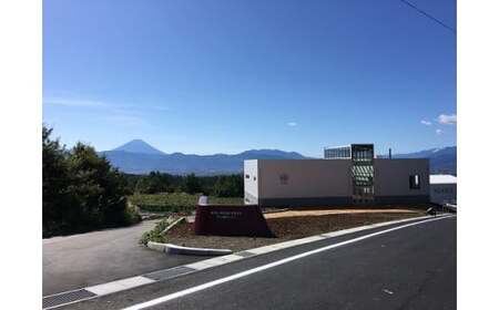 コーヒー 豆 100g 2種&オリジナル缶セット [本坊酒造 マルス穂坂ワイナリー 山梨県 韮崎市 20743356] 