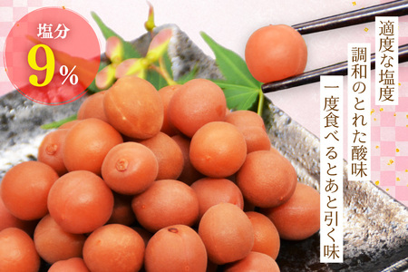 カリカリ梅干し 甲州小梅 300g  国産 減塩 熱中症予防 お弁当 おにぎり [山梨農産食品 山梨県 韮崎市 20743178] 
