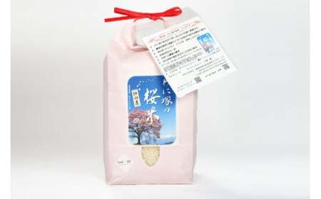 米 令和7年 わに塚の桜米 精米 1.5kg [スーパークラフト 山梨県 韮崎市 20743166] お米 白米 精米 ごはん ご飯 ブランド米