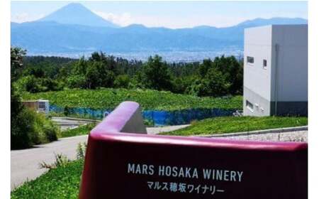 ワイン 白 辛口 一升瓶|ワインマルスワインブラン 1800ml [本坊酒造 マルス穂坂ワイナリー 山梨県 韮崎市 20743453] 