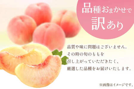 【2026年発送】訳あり 桃 もも 白鳳 or 白桃 3号 約2.2kg (6～10玉) モモ 果物 フルーツ 山梨 期間限定 季節限定 冷蔵 農福連携 [斎庵 山梨県 韮崎市 20745277]