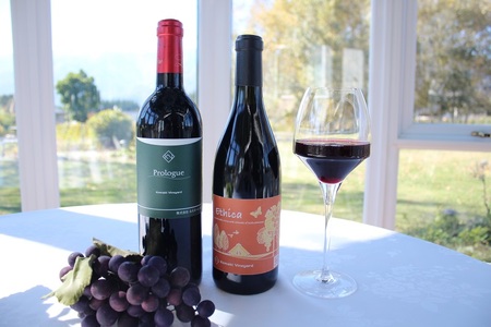 Komaki Vineyard　赤ワイン2本セット ワイン セット 赤ワイン 2本 750ml Komaki Vineyard メルロー種 有機栽培 自然な味わい 八ヶ岳 母の日 父の日 [h165]
