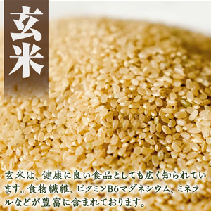 a902-C 竹ん粉米(白米＆玄米4kg)【夢竺山株式会社】米 お米 白米 玄米 精米 選べるお米 