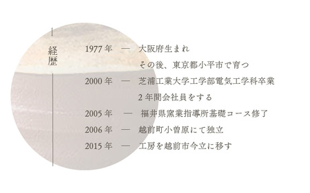  越前焼のふるさと越前町からお届け！冷酒 3点セット 刷毛目茶（片口、カップ × 2）拓逢陶房 越前焼 越前焼き 【コップ カップ 食器  ギフト うつわ 電子レンジ 食洗機  工芸品 陶芸作家 陶器 】 [e25-a025]