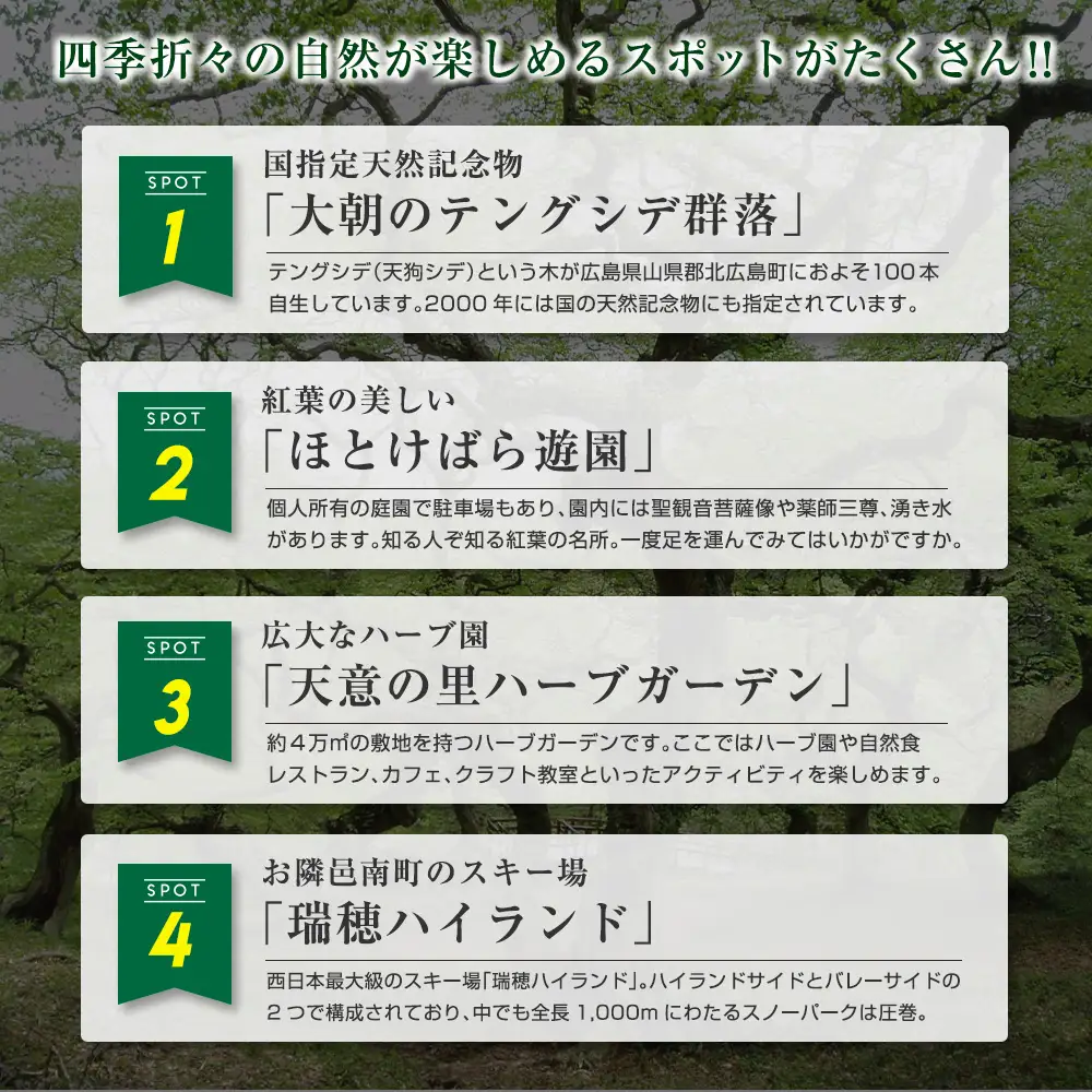 ≪1棟貸し切り≫最大10名！Qoo House Oasa くうハウス大朝 1泊宿泊券 KU098_001