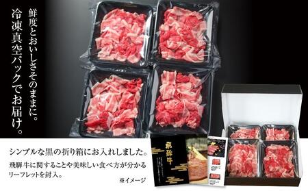 【ふるなび限定】牛肉 訳あり 飛騨牛 切落とし 600g 牛肉 飛騨高山ミート MZ012 牛肉 FN-Limited-PR