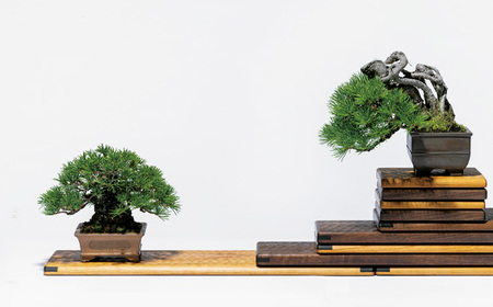 汎用型　亀甲名栗木製パームレスト　松2　1／2HALF　ウォールナット No.896-01