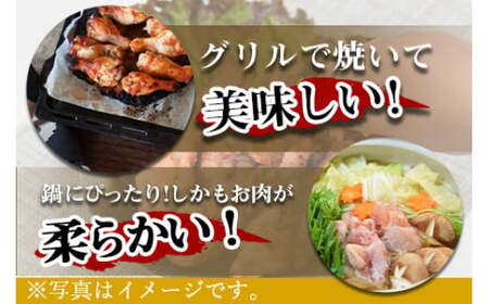 ＜万能手羽塩こうじ漬け 3kg（1kg×3袋）＞翌々月末迄に順次出荷 【c812_bn_x3】