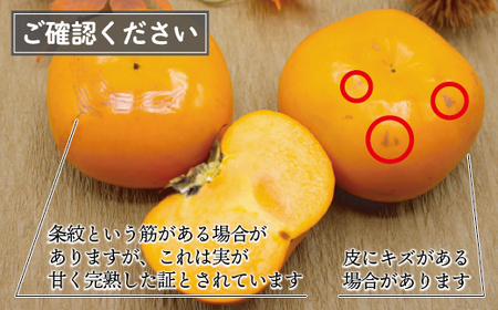 【2026年10～11月発送】秋のフルーツの王様・ブランド柿「秋王」約3.5kg[H2321]