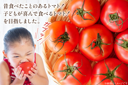 【 訳あり 】志宝トマト 大玉 約 2kg [モアショップヤマモト 石川県 宝達志水町 38601138]