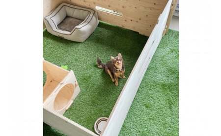 犬 ミニ ドッグラン 小型犬 持ち運び 折りたたみ 組立簡単 木製 ゲージ 犬 小型 ペット [MDF 石川県 宝達志水町 38600544]