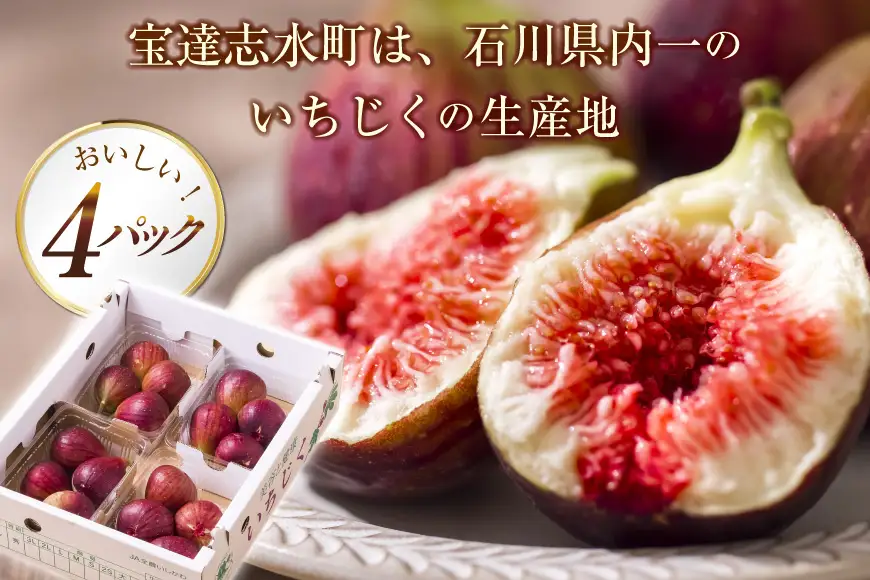 【期間限定発送】 いちじく 生 完熟 約1.2kg (300g×4パック) [モアショップヤマモト 石川県 宝達志水町 38600615]