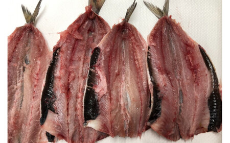 【簡単揚げるだけ】カジキマグロと旬の魚フライセット 各500g 計1kg [原商店 石川県 宝達志水町 38600588]