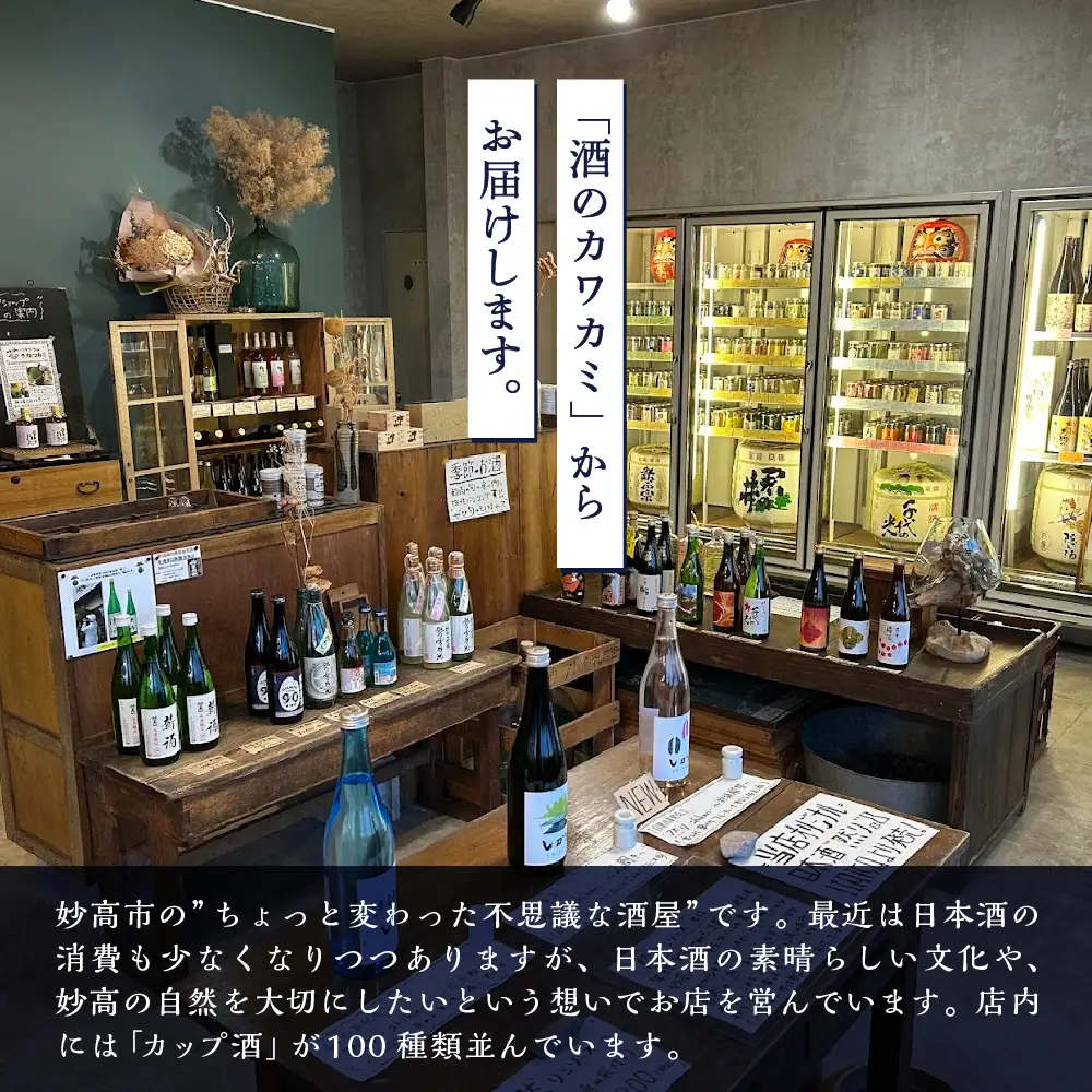新潟県妙高飲み比べカップ酒セット(上越エリア) 10種 詰め合わせ