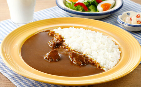 よこすか海軍カレー 180g×6 ビーフカレー カレー 海軍 海軍カレー 軍艦 横須賀 自衛隊 神奈川 レトルト 非常食 保存食【横須賀商工会議所 おもてなしギフト事務局（株式会社調味商事）】 [AKAQ002]