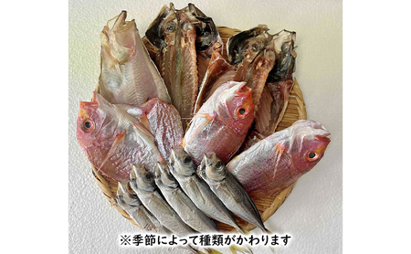 できたて干物セット 4～5種 おまかせ 富山県黒部市/産地直送 旬 魚介 魚 さかな 詰め合わせ ひもの 富山湾 名水 産地直送 生地 干物の詰め合わせ 加工品 朝食 朝ごはん おかず 夕飯 晩御飯 