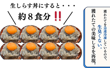 生しらす お刺身 800g 小分け 岬だより 生しらす刺し身