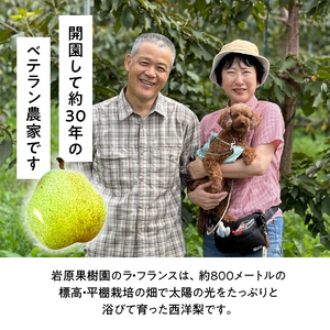 果汁100% ラ・フランスジュース 2本入 [h039]