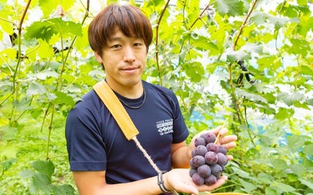 中村柿ぶどう園 ピオーネジャム 130g×3個セット ジャム ぶどうジャム ピオーネ 常温 うきは市