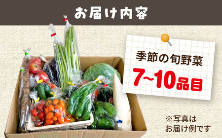 農家自慢 季節の野菜セット （7～10品目） / 詰め合わせ 野菜 やさい 野菜セット 野菜詰め合わせ 旬 春野菜 夏野菜 秋野菜 / 大村市 / 産直松吉[ACZC001]