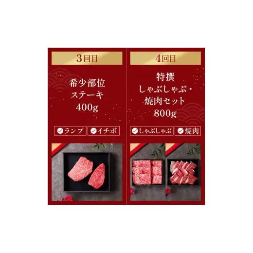 【和牛セレブ】神戸牛 定期便「エコノミークラス」（定期便4回）[980]