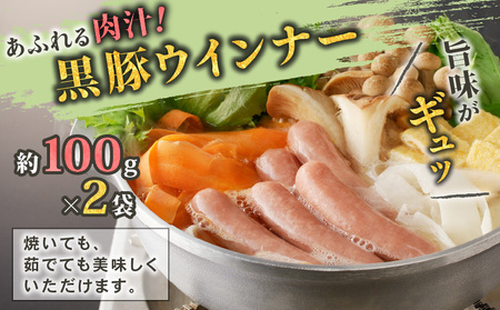 【10営業日以内に発送】鹿児島黒豚 バラエティー セット K091-008 肉 豚肉 惣菜 総菜 冷凍 ハンバーグ スピード配送 最短 すぐ届く お急ぎ