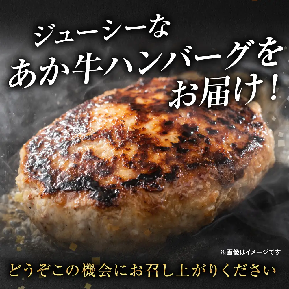 【定期便6回】肥後のあか牛 ハンバーグ 150g×10個 おかず 惣菜 洋食 お肉 肉 にく 冷凍 熊本県 八代市