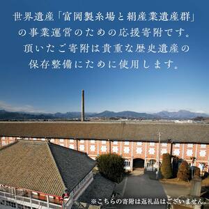 ＼世界遺産!!／ 富岡製糸場 応援寄附金 30,000円分（返礼品なし） F20E-947