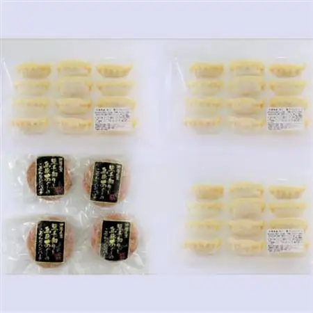 総重量1kg超!あぐー豚を2つの食べ方でお届けします(ハンバーグ＆餃子)【配送不可地域：離島】【1139598】