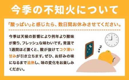 熟成貯蔵 不知火 5kg しらぬい 不知火