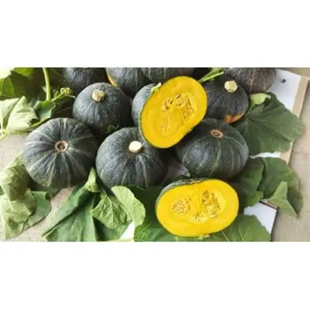 農家人が選んでお届けする「にし阿波の旬野菜詰合せ」　4～5品【配送不可地域：離島】【1432165】