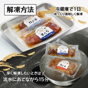 a10-980　まぐろ＆かじきの和風ダレ漬丼の具セット10P入