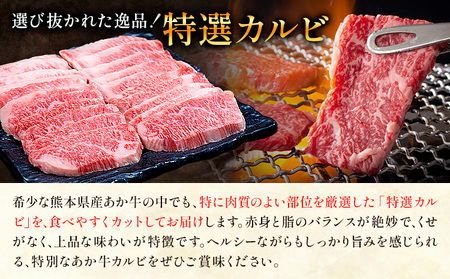 熊本あか牛 特選カルビ 500g 合同会社たべたせいか《30日以内に出荷予定(土日祝除く)》熊本県 菊池市 肉 牛肉 お肉 和牛 あか牛 焼き肉 焼肉 やきにく BBQ バーベキュー 特選 カルビ 熊本県産 冷凍 送料無料