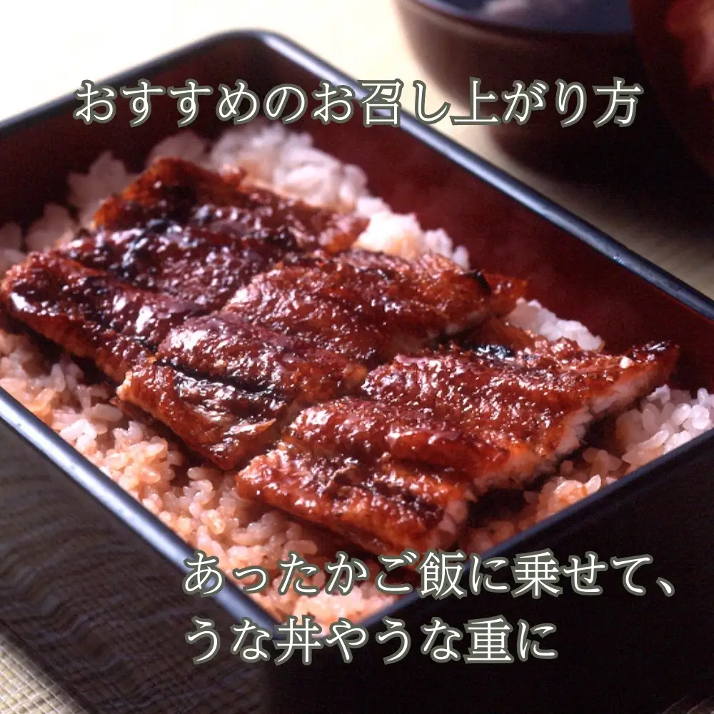 【B-809】近江今津 西友 うなぎ炭火焼蒲焼 2尾／計約270ｇ［高島屋選定品］