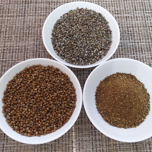 【たねがしまる4000】 種子島 月桃 の実が入った 月桃茶 ＜40g＞ 1袋　NFN927【100pt】 