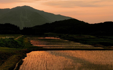 【令和7年産米】新潟県村上市岩船産 棚田米 コシヒカリ 玄米 10kg AB4041