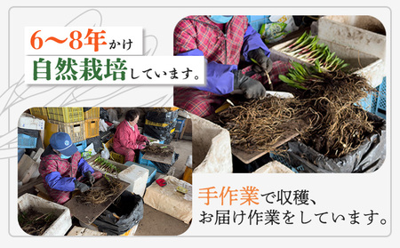 行者ニンニクFDパウダー×30g【2000501】