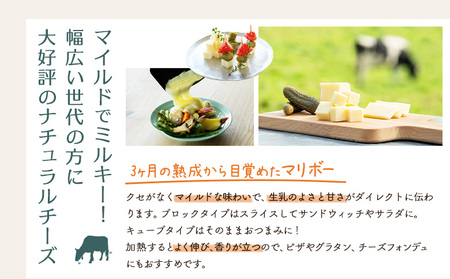 【★高評価レビュー獲得！】竹下牧場まるごとチーズセット モッツァレラ マリボーCUBE マリボー 乳製品 チーズ チーズセット モッツアレラ マリボー 発酵食品 ふるさと納税 北海道 中標津町 中標津【2400102】