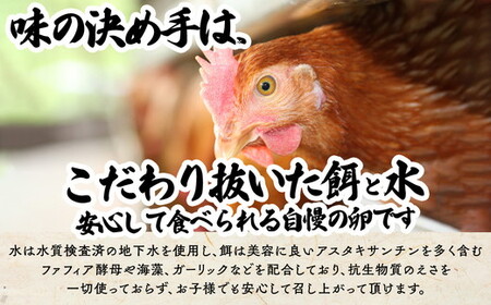 【3か月定期便】君嶋養鶏園のたまご Lサイズ 60個（55個＋割れ補償5個）×3ヶ月 計180個 | 定期便 3ヶ月 3か月 3ヵ月 卵 玉子 たまご 赤卵 赤たまご 生卵 国産 濃厚 鶏卵 コク 旨味